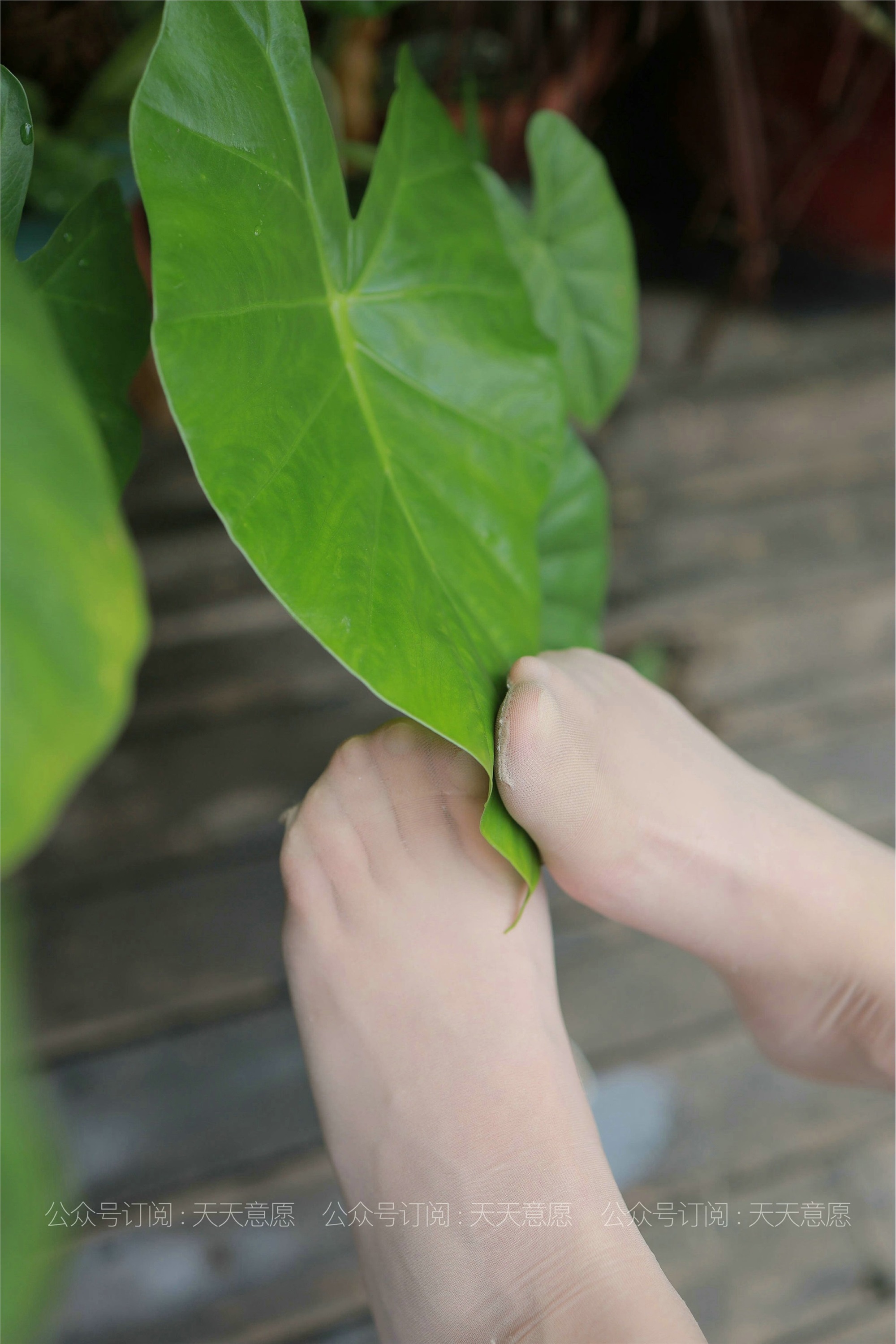 IESS异思趣向  2021.06.26 丝享家844：婉苹《粉色短裙》